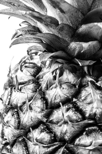 Ananas van MirjamCornelissen - Fotografie