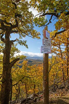 Panneau indicateur de randonnée dans la forêt d'automne près de Wernigerode (Harz) sur t.ART
