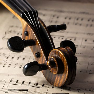 viool, muziekinstrument