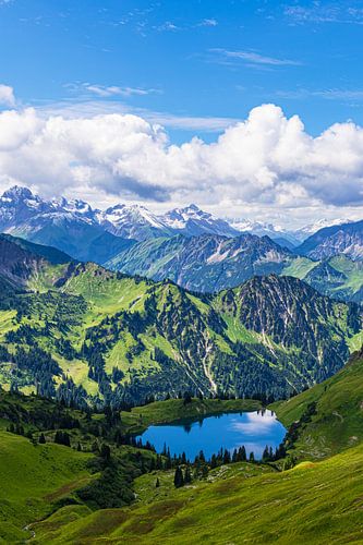 Uitzicht op de Alpen en de Seealpsee vanaf de Nebelhorn bij Obersdorf