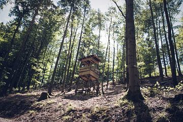 Jagershut in het bos van Suzanne Schoepe