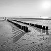 Strandpalen in Zwart-wit Symmetrie Ritme en Reflectie aan de Kust van Femke Ketelaar