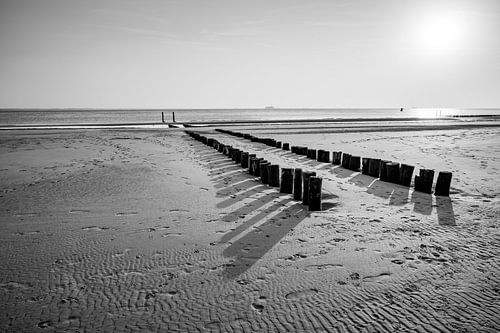 Strandpalen in Zwart-wit Symmetrie Ritme en Reflectie aan de Kust