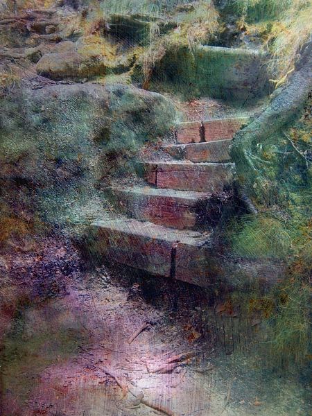 romantische Treppe im Wald von Claudia Gründler