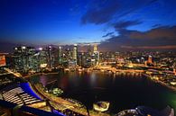 Marina Bay Sands City View, Singapour. par Stefan Vis Aperçu