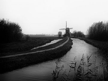 Polder by Maikel Brands