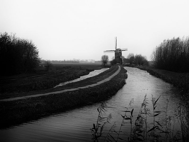 Polder by Maikel Brands