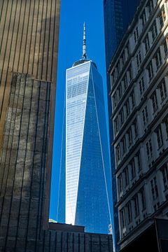 WTC One van Tom van Dutch