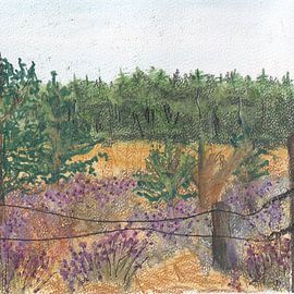 violet et jaune... couleurs d'automne sur la lande.e sur moments in watercolors