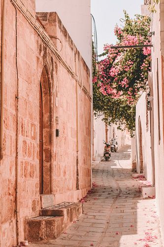 The Urban Collection | Rhodos