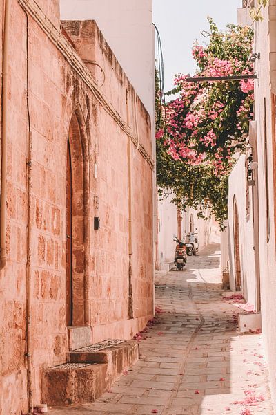 The Urban Collection | Rhodos van Lot Wildiers Photography