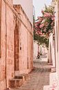 The Urban Collection | Rhodos van Lot Wildiers Photography thumbnail