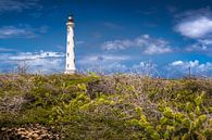 Lighthouse on the island of Aruba / Caribbean. by Voss Fine Art Fotografie thumbnail
