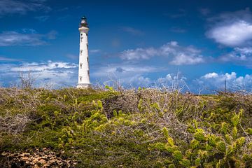 Lighthouse on the island of Aruba / Caribbean. by Voss Fine Art Fotografie