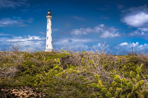 Phare sur l'île d'Aruba / Caraïbes.