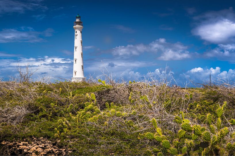 Lighthouse on the island of Aruba / Caribbean. by Voss photography