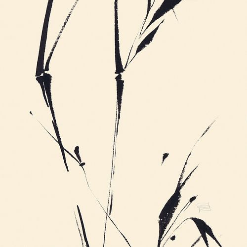 Bamboo III, Chris Paschke