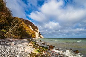 Ostseeküste auf der Insel Moen in Dänemark