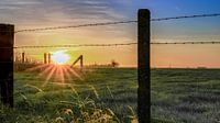 sunrise by Wim Coudenys thumbnail