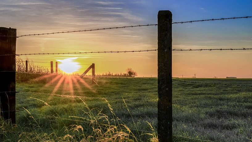 sunrise by Wim Coudenys