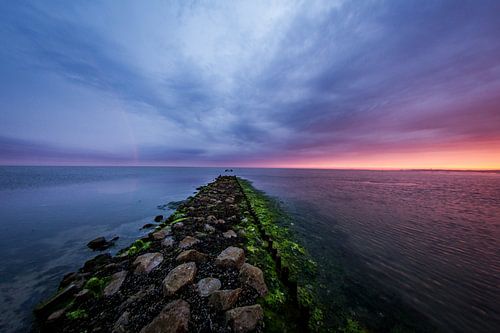 Het wad in volle snelheid