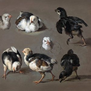 Étude peinte de 7 poussins