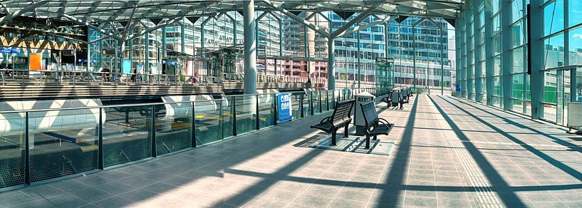 the Hague public transport by Ariadna de Raadt-Goldberg
