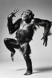 Ballerina aap van Poster Art Shop