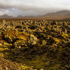 Mit Lavagestein bedeckte Landschaft in Island von Karijn | Fine art Natuur en Reis Fotografie