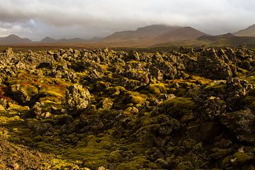 Landschap bedekt met lava gesteente op IJsland van Karijn | Fine art Natuur en Reis Fotografie