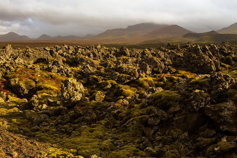 Landscape covered in lava rock in Iceland by Karijn | Fine art Natuur en Reis Fotografie