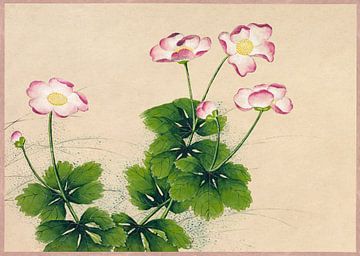 Mallow flowers (18th Century) painting by Zhang Ruoai. van Studio POPPY