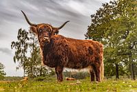 The Scottish Highlander of Dorst (part 3)