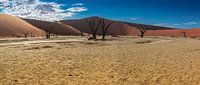 Panorama von Deadvlei mit toten Bäumen, Namibia von Rietje Bulthuis Miniaturansicht