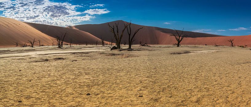 Panorama von Deadvlei mit toten Bäumen, Namibia von Rietje Bulthuis