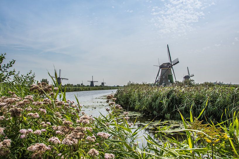 Kinderdijk windmills by Hans Tijssen