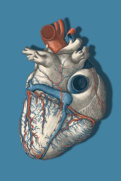 It's Called a Heart by Marja van den Hurk