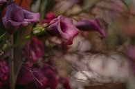 "Purple dream" van Chris Biesheuvel I  Dream Scapes thumbnail