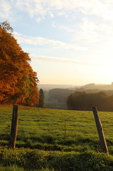 Autumnal landscape