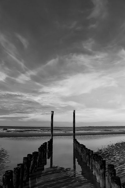 The gate by adriaan de waele