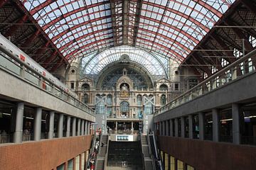 Anvers sur Frans Kuit