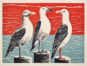 Three seagulls on the Red Sea by Frank Daske | Foto & Design
