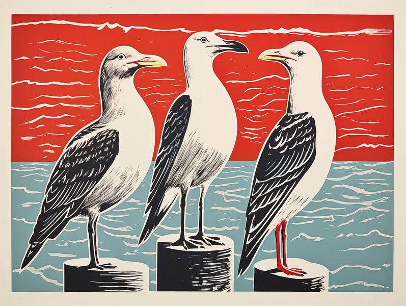 Drei Möwen am Roten Meer von Frank Daske | Foto & Design