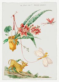 Motif floral avec chien et insectes, Giacomo Cavenezia