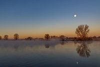 Brume sur la Meuse