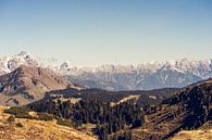 Vue sur les Alpes orientales près de Saalbach-Hinterglemm par Shanti Hesse Aperçu