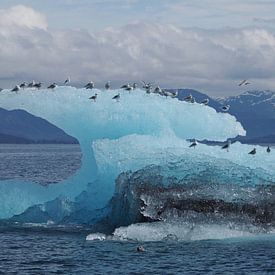 IJsberg in Prince William Sound - Alaska van Tonny Swinkels