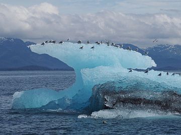 IJsberg in Prince William Sound - Alaska van Tonny Swinkels