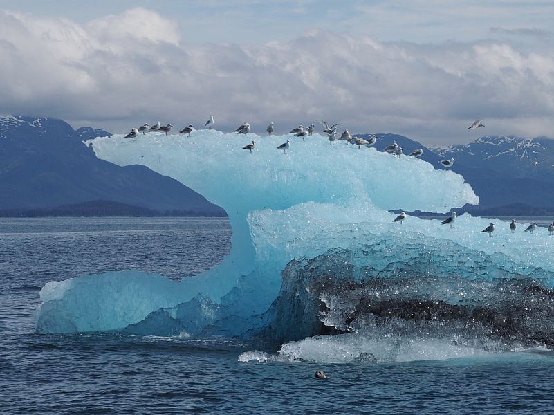 Iceberg in Prince William Sound - Alaska by Tonny Swinkels