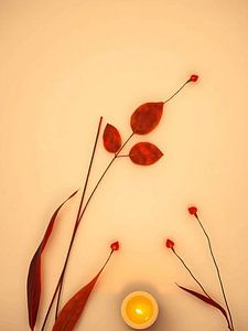 feuille abstraite